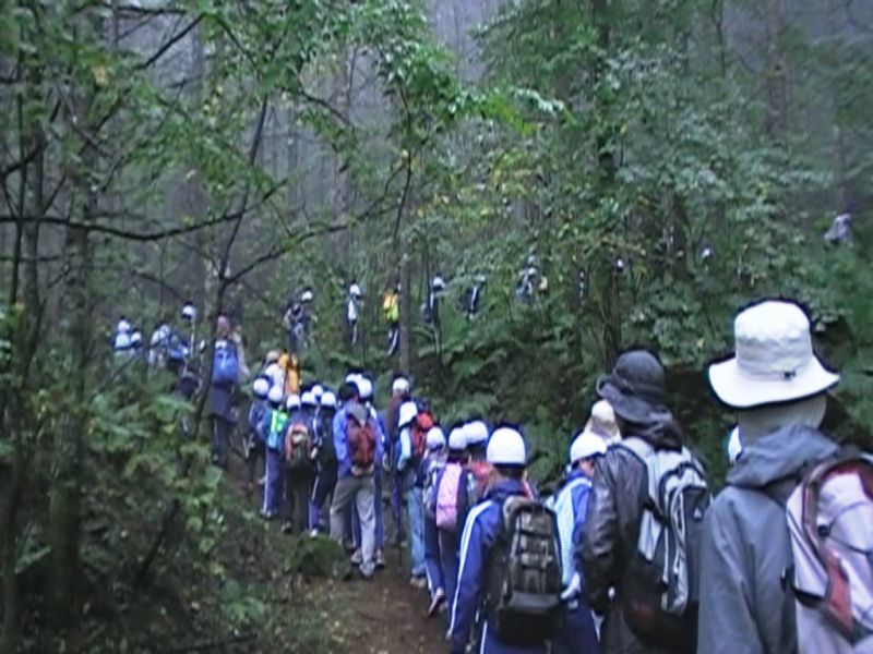 子どもたちが列になって登山している様子