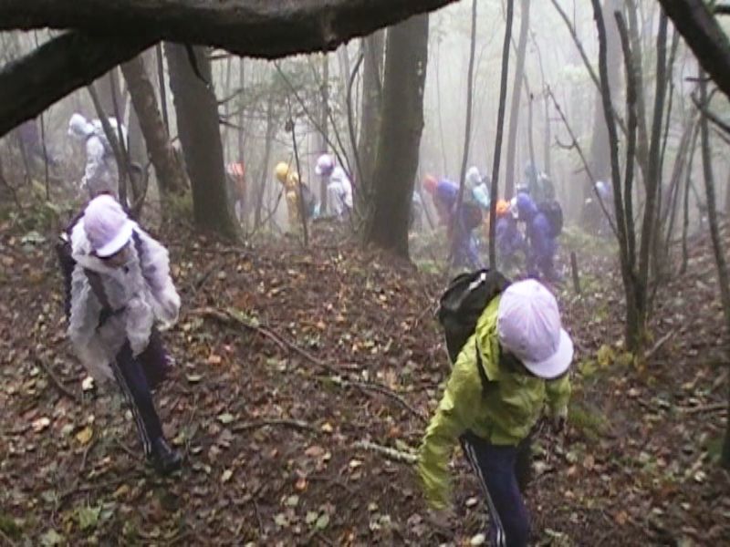 子どもたちが元気に登山している様子