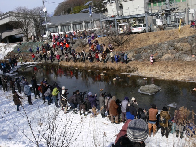 役場前の相木川に集まった地元の人たち