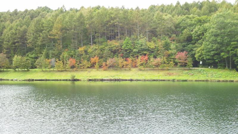 湖の写真