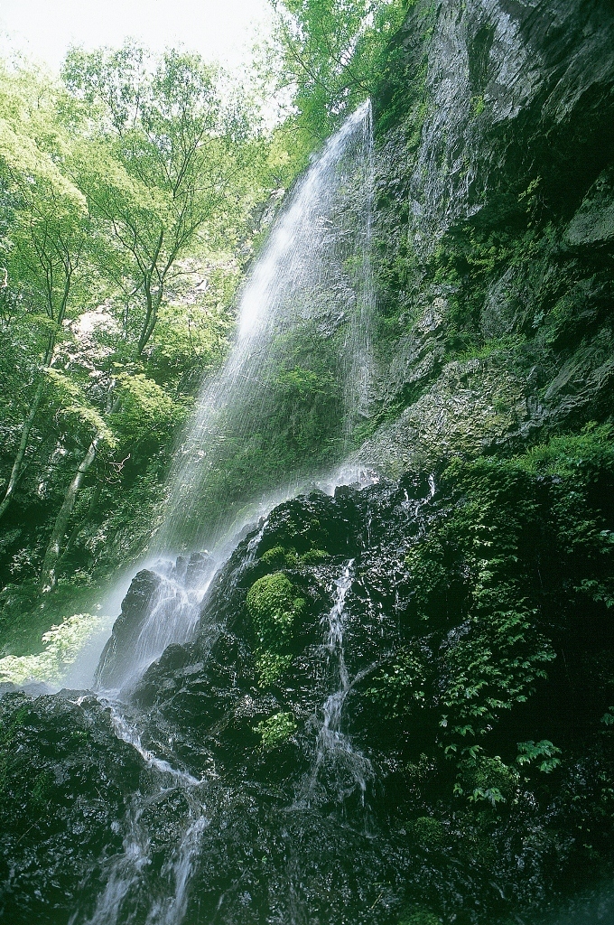 夏の大禅の滝の写真