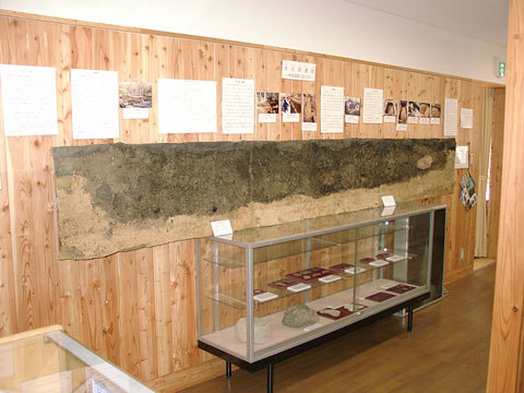 遺物や1号住居址の断面パネルが長者の森で展示されている写真