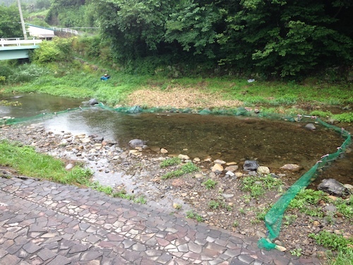 栃原岩陰遺跡縄文体験フェスティバルに向け川で準備中の写真