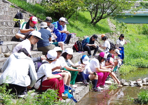 河原で石を拾い、作業している小中学生の写真