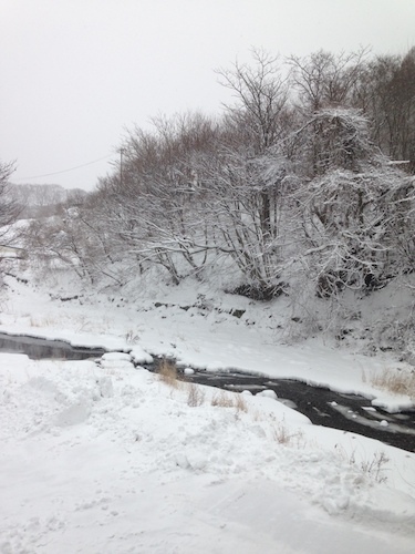 雪山の谷間を流れる雪解け水