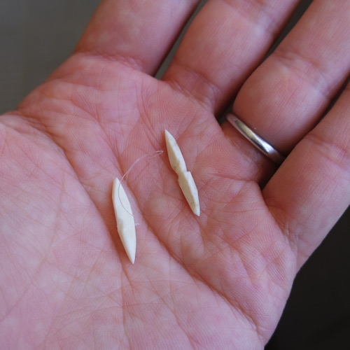 シカの骨を石で磨いた釣り針写真