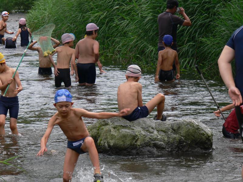 水着で川に入って魚や昆虫の観察している子供たちの写真