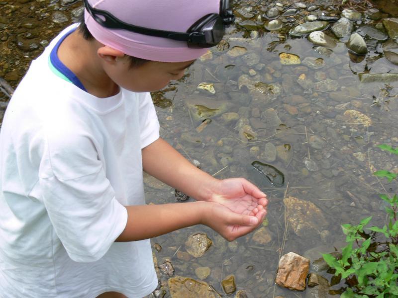 子供が手で水をすくい上げている写真