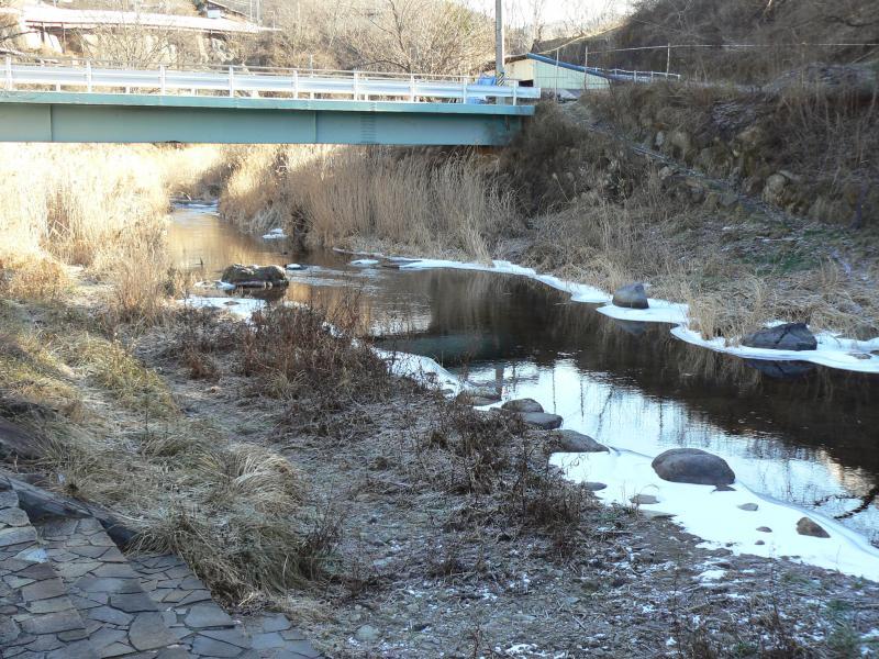 冬なのに凍っていない相木川の写真