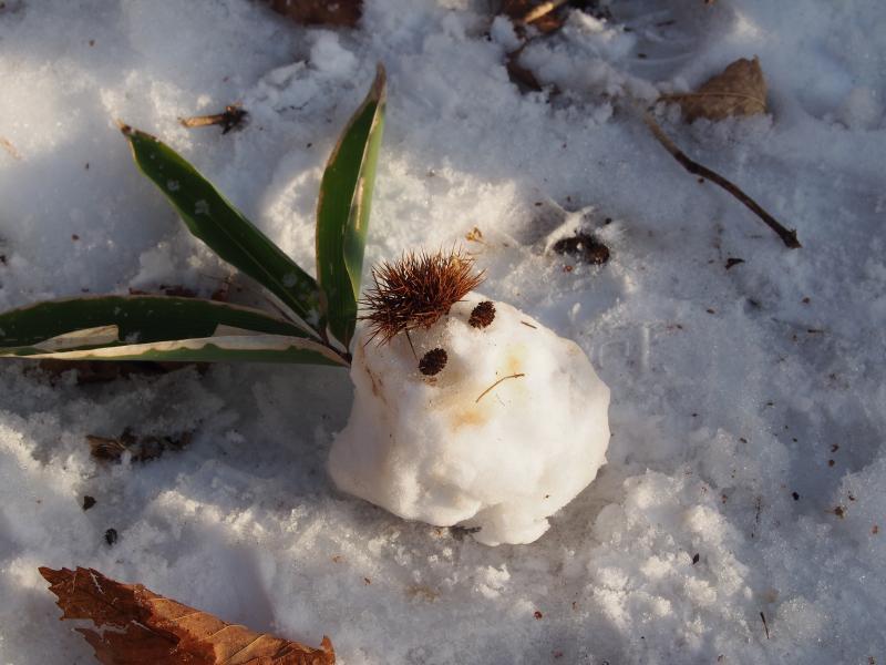 雪で作った人形の写真