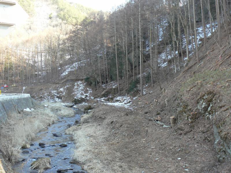 きれいに山が整備された栃原の川向こうの風景