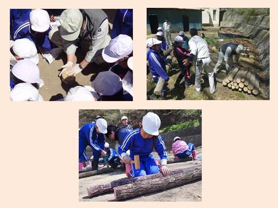男性に教わりながら木を運んだり菌を植える作業をする小学生の様子